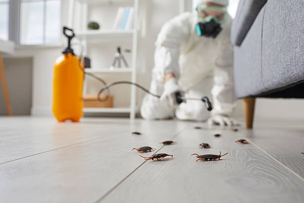Post-Treatment Bed Bug Interceptor Monitoring in Eden Prairie