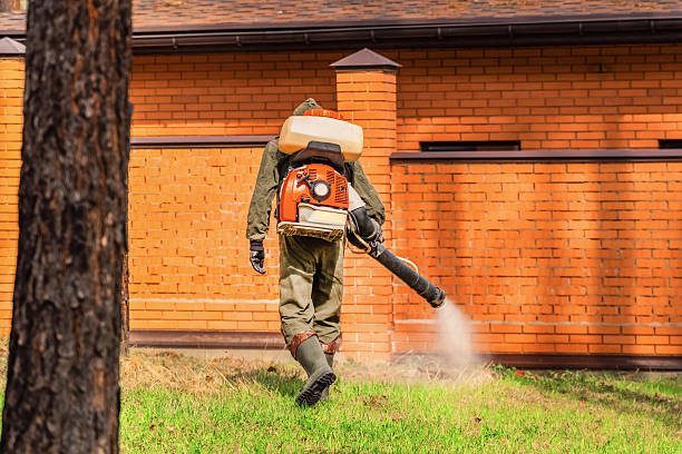Bed Bug Clearance Verification and Documentation in Eden Prairie